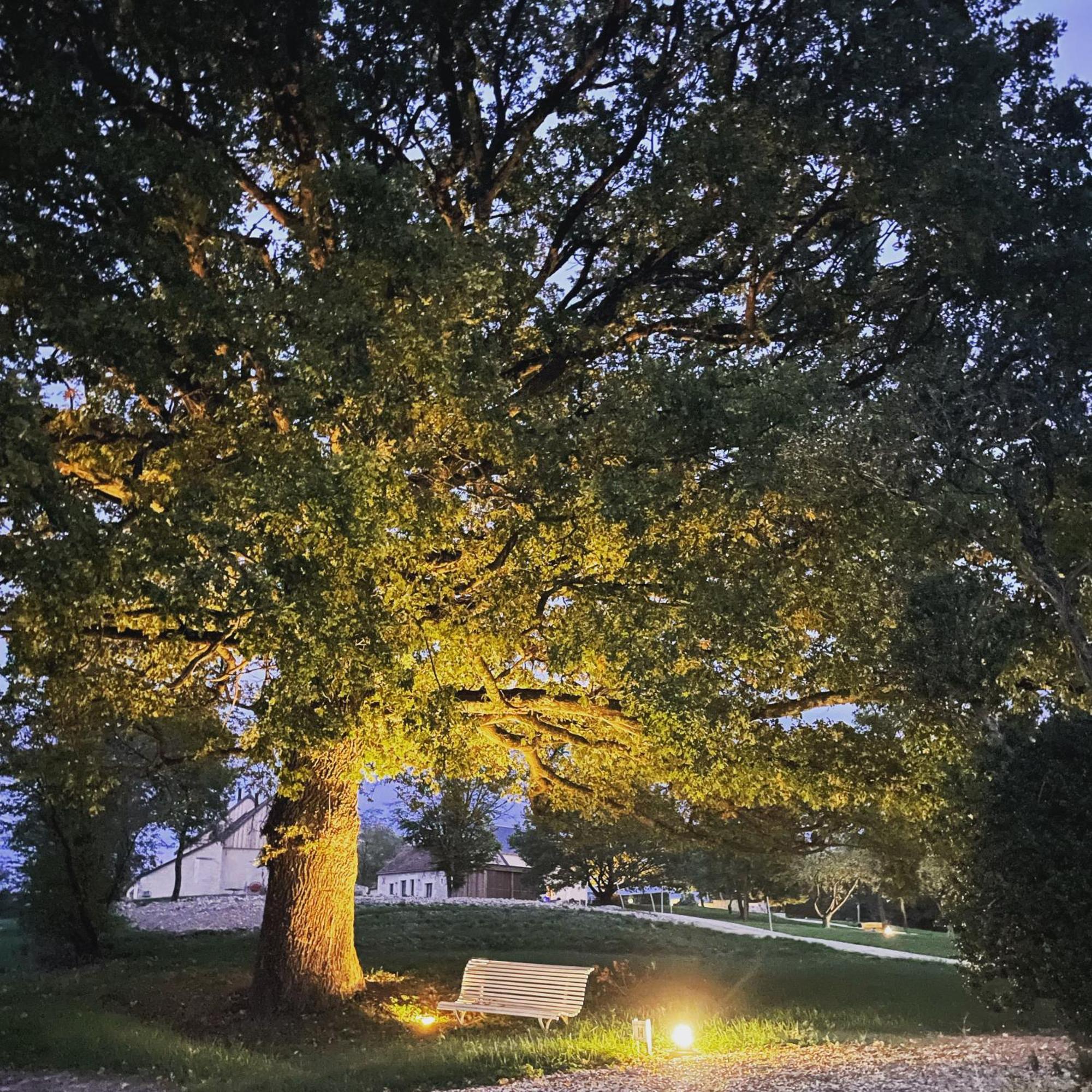 Le Hameau De La Closerie Flere-la-Riviere エクステリア 写真